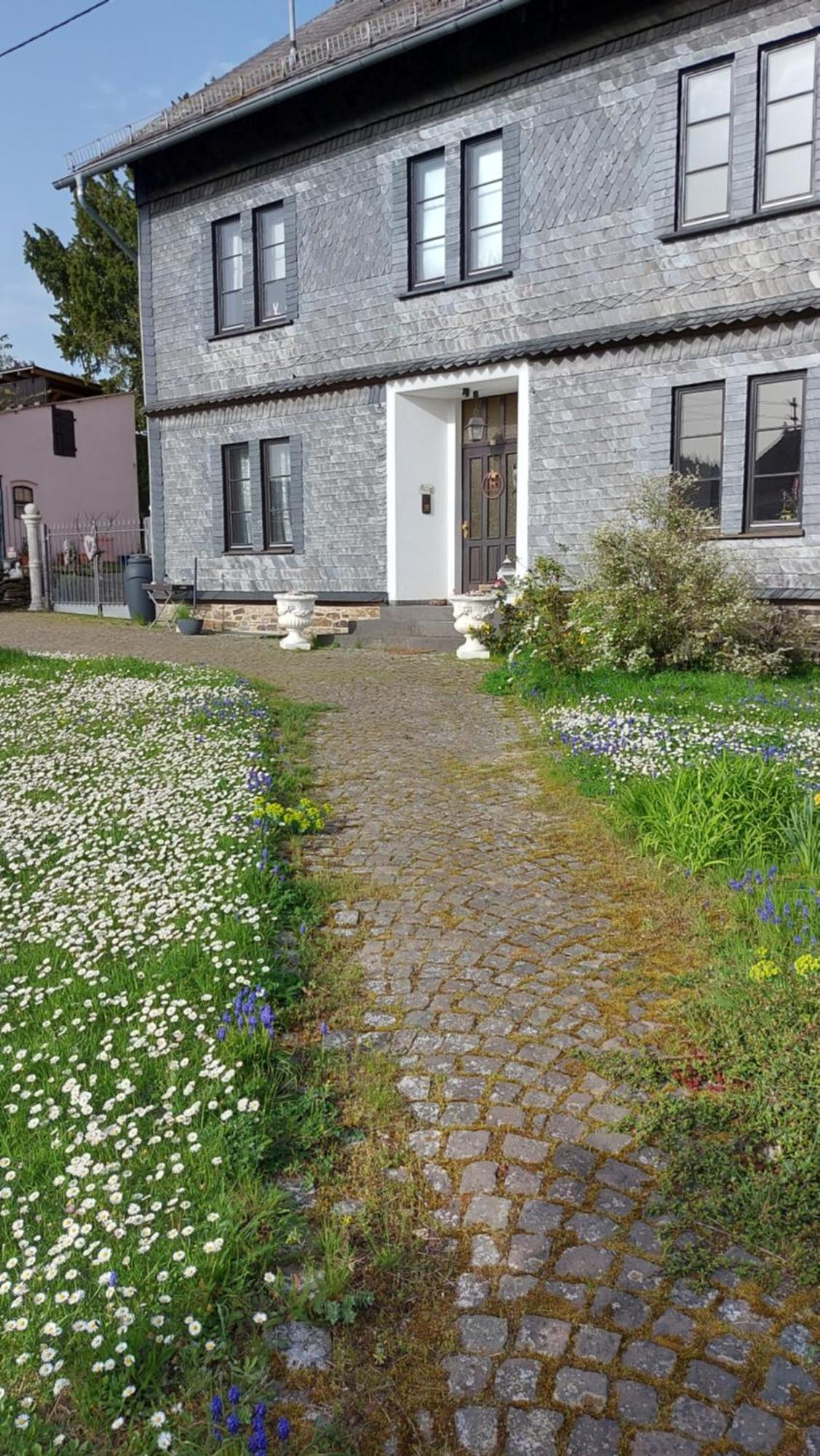 Zum Alten Pfarrhaus Damscheid Exterior photo
